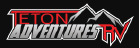 Dealer logo image